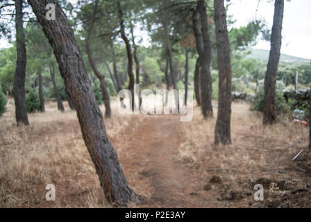 Fotografía tomada en el Monte Abantos, San Lorenzo de El Escorial, España. Stockfoto