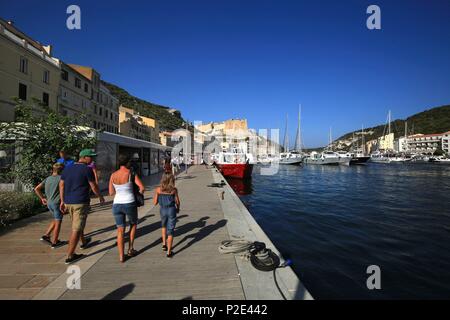 Frankreich, Corse, Bonifacio, der Bouches de Bonifacio, der Hafen von Bonifacio und die Zitadelle im Hintergrund Stockfoto