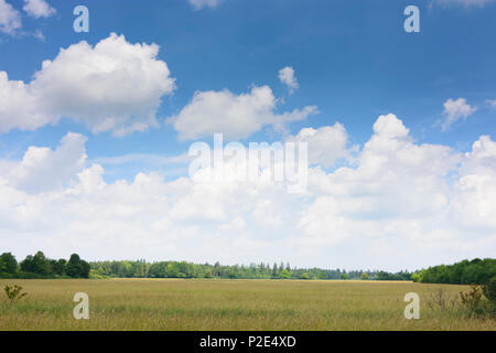 Königsbrunn: Feld Lechfeld in Deutschland, Bayern, Bayern, Schwaben, Schwaben Stockfoto