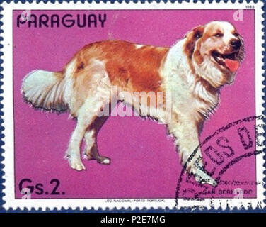 . ???????:????????? . 11. Januar 1984. Stempel der Paraguai 53 St-Bernard-Canis-Lupus-familiaris Stockfoto