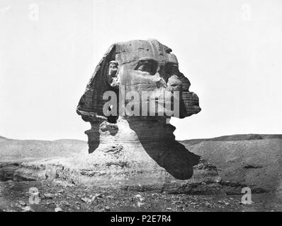 Sphinx in Gizeh, die Große Sphinx von Gizeh, die Sphinx von Gizeh, die Sphinx, Giza Plateau, Ägypten Stockfoto