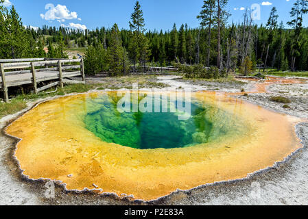 Die Morning Glory Pool im Upper Geyser Basin des Yellowstone National Park, Wyoming, USA Stockfoto