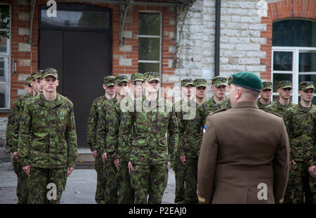 Estnische Soldaten stehen in der Ausbildung vor der Bataillonskommandeur während ihrer Abschlussfeier von der Wehrpflicht Ausbildung bei Staabi-ja sidepataljon, Signal Bataillon, in Tallinn, Estland, Sept. 5, 2016. Estonian Defence Force Wehrpflichtigen durchlaufen drei Monate Grundausbildung vor der Durchführung einer anderen 7-8 Monate der Führung und der militärischen beruflichen Spezialgebiet Training. (U.S. Armee Foto von SPC. Rachel Diehm/Freigegeben) Stockfoto