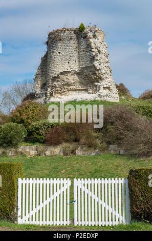 Frankreich, Yvelines, Montchauvet, Dorf der Franzosen, die Ruinen der Dungeon Stockfoto