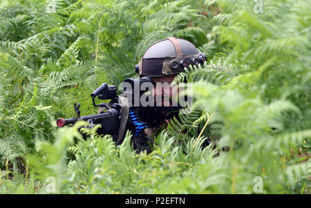 Ein Soldat von 74Th der slowenischen Armee motorisierte Bataillon, scannt die Perimeter, Sept. 15, 2016, während des Trainings als Teil der Übung sofortige Reaktion 16 an der kroatischen Streitkräfte Training Area von Slunj in Kroatien statt. Sofortige Reaktion 16 ist ein multinationales, Brigade level Kommandostellenübung unter Verwendung von computergestützten Simulationen und Übungen aus beiden Ländern, Kroatien und Slowenien. Die Ausübung erfolgt Sept. 9-23, 2016 und umfasst mehr als 1.900 Soldaten und Sicherheitskräfte aus Albanien, Bosnien und Herzegowina, Kroatien, Ungarn, Kosovo, Mazedonien, Montenegro Stockfoto