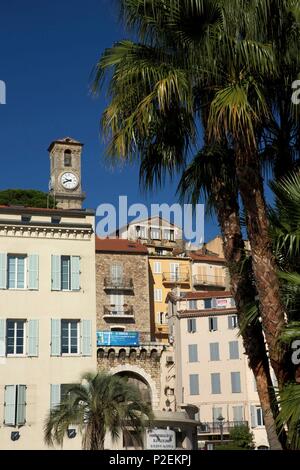 Frankreich, Alpes Maritimes, Cannes, Gebäude des alten Stadtteil Suquet, Palmen und Glockenturm der Kirche Notre-Dame d'Espérance Stockfoto