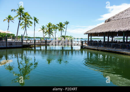 Florida Upper Florida Keys, Islamorada, Islamorada Fish Company, Meeresfrüchte, Restaurant Restaurants Essen Essen Essen Cafe Cafes, Little Basin Florida Bay, Waterfront Stockfoto