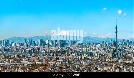 Mt. Fuji mit Tokyo Skytree und Skyline von Downtown Tokyo am frühen Morgen im Winter, Sumida-ku, Tokyo, Japan Stockfoto