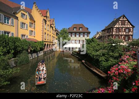 Frankreich, Haut Rhin, elsässische Weinstraße, Colmar, Bootsfahrt in das kleine Venedig an der rue de Turenne Stockfoto