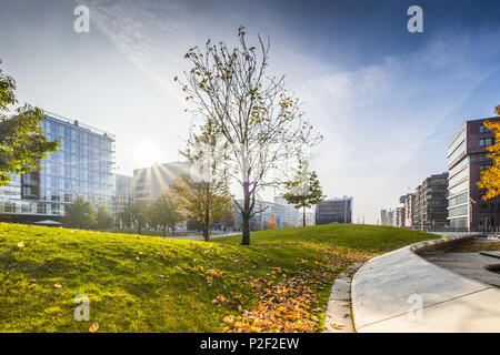 Herbstliche Stimmung in der Hamburger Hafencity am Sandtorpark, Hamburg, Norddeutschland, Deutschland Stockfoto