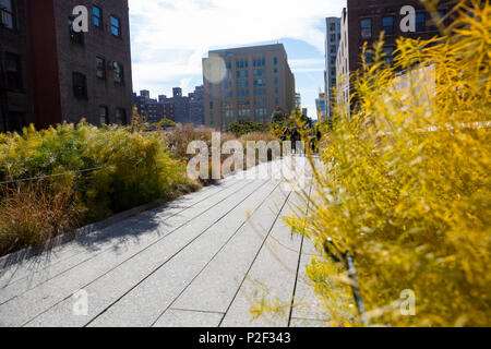 High Line, Park gebaut auf einer erhöhten Abschnitt einer stillgelegten Eisenbahn, Stadtzentrum, Manhattan, New York City, USA, Nordamerika Stockfoto