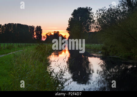 Niers Bach, in der Nähe von Goch, Niederrhein, Nordrhein-Westfalen, Deutschland Stockfoto