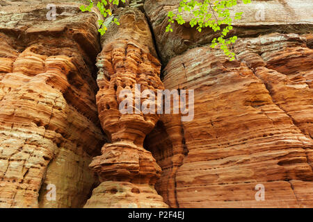 Felsformation Altschlossfelsen, in der Nähe von Eppenbrunn, Naturpark Pfälzer Wald, Rheinland-Pfalz, Deutschland Stockfoto