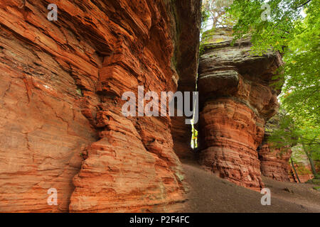 Felsformation Altschlossfelsen, in der Nähe von Eppenbrunn, Naturpark Pfälzer Wald, Rheinland-Pfalz, Deutschland Stockfoto