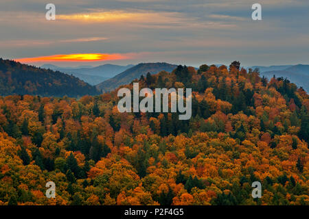 Anebos Schloss, in der Nähe von Annweiler, Naturpark Pfälzer Wald, Rheinland-Pfalz, Deutschland Stockfoto