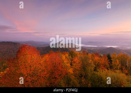 Blick über den Pfälzer Wald, in der Nähe von Wegelnburg Nothweiler, Dahner Felsenland, Pfälzer Wald, Rhein Stockfoto