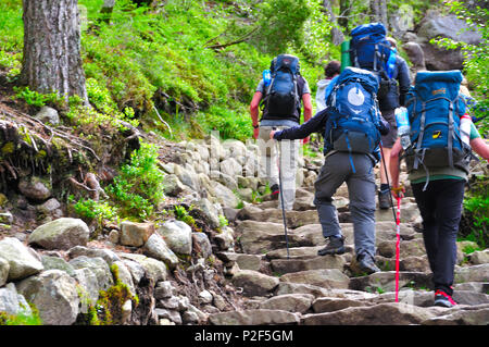 Aufstieg zur prektestolen oder Kanzel in Norwegen Stockfoto
