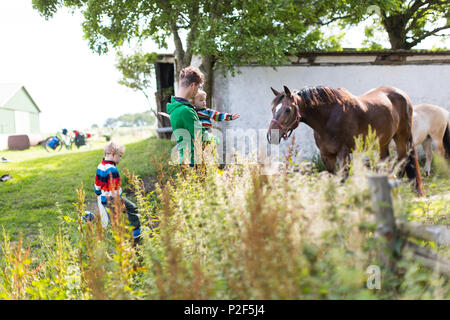Zwei Jahre altes Mädchen und fünf Jahre alten Jungen Fütterung ein Pferd mit ihrem Vater, Radtour, Familie, Ostsee, MR, Bornholm, Denma Stockfoto