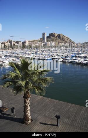 Spanien - Valencia autonome Region - L'ALACANTÍ (Kreis) - Alicante. Alicante (Hauptstadt); Vista al Puerto Deportivo, fachada Marítima de la Ciudad y Castillo de Santa Bárbara/Cerro del Benacantil desde el centro Panoramis Lúdico-Comercial''. Stockfoto