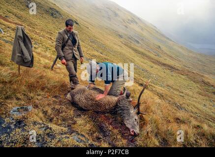 Jäger mit Wild, Schottland, Großbritannien, Europa Stockfoto