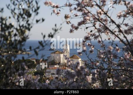 Spanien - Katalonien - Alt Empordá (Kreis) - Gerona. Cadaqués; Vista con Iglesia desde Campo de oliveras/Almendros floridos. Stockfoto