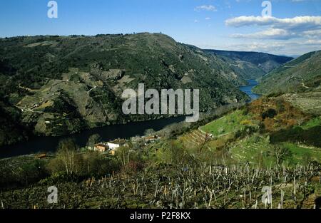 . Ribeira Sacra; cañones del Río Sil y paisaje cerca de Cristosende. Stockfoto