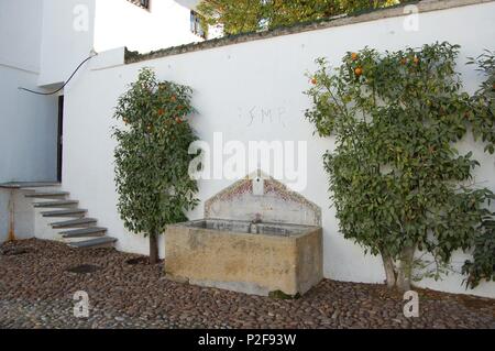 Palacio de los Villalones, tambiŽn conocido como El Palacio del Orive, arquitectura zivilen Cordobesa renacentista, construido por Hernan Ruiz II en 1560. Sede de la concejalia de Cultura. Cordoba. Stockfoto