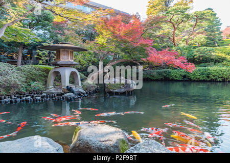 Koi und Stein Laterne im Herbst mit roten Ahornblätter in Happo-en, Shirokanedai, Minato-ku, Tokio, Japan Stockfoto