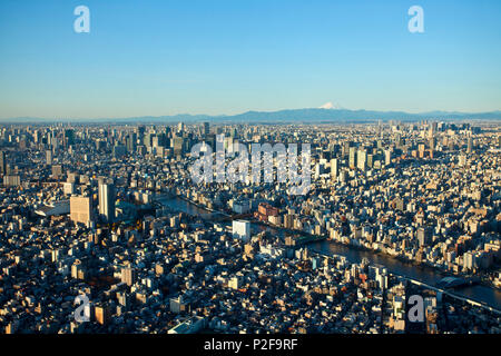 Tokyo mit Sumida River und Mt. Fuji von Skytree, Sumida-ku, Tokyo, Japan gesehen Stockfoto