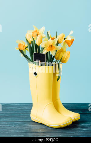 Nahaufnahme Blick auf gelbe Tulpen und Narzissen Blumen mit leeren Tafel in Gummistiefel auf Blau Stockfoto