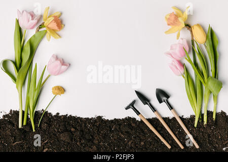 Flach mit Blumenarrangements und Gartengeräte auf dem Boden isoliert auf weißem Stockfoto