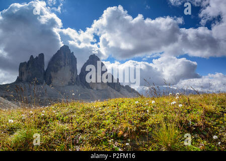 Drei Zinnen, Tre Cime di Lavaredo, UNESCO Weltnaturerbe Dolomiten, Sextener Dolomiten, Dolomiten, Venetien, Italien Stockfoto