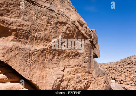 Stein Gravuren einer Eidechse in Wadi Mathendous, Wadi Barjuj, steinige Wüste, Libyen, Sahara, Nordafrika Stockfoto