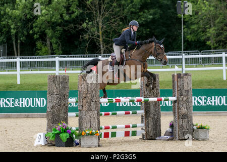 Bolesworth, Cheshire. 14 Jun, 2018. Isabelle Watson reiten Gardentio (CSIAm - zwei Phasen). Pferd, Zaun, Reitsport, Tiere, Sport, Wettbewerb, Springen, Pferde, Reiter, show, Hindernis, Hürde, Reiten, Event, Hengst, Meister, Springen, Jockey, Reiten, Reitsport, Reiter an der Schildknappe Bolesworth International Horse Show. Kredit MediaWorldImages/AlamyLiveNews. Stockfoto