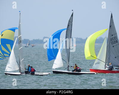 Sheerness, Kent, Großbritannien. 15 Juni, 2018. UK Wetter: einen hellen und sonnigen Nachmittag in Sheerness, Kent. Die Osprey Class Association an einem Tag der Ausbildung auf der Insel Sheppey Sailing Club. Die Osprey ist ein leistungsstarker Jolle für eine Besatzung von zwei. Credit: James Bell/Alamy leben Nachrichten Stockfoto