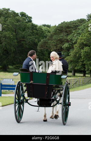 Herzogin von Cornwall nimmt eine jaunting Auto Fahrt in Killarney, Irland Stockfoto