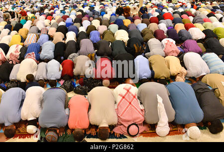 San Antonio, Texas, USA. 15 Jun, 2018. Mitglieder des San Antonio, Texas, USA, muslimischen Gemeinschaft vom 15. Juni 2018 versammelten sich zum Ende des Ramadan in den öffentlichen Gebet ein Eid-ul-Fitr, das zum ersten Mal in San Antonio, wird gemeinsam gebetet werden zu markieren. Es wurde geschätzt, dass 10.000 Menschen teilgenommen haben. San Antonio Event Center. Credit: Robin Jerstad/Alamy leben Nachrichten Stockfoto