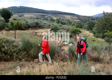 Wandern im Naturpark Montesinho in der Nähe von Braganca, Tras-os-Montes, Northeast-Portugal, Portugal Stockfoto