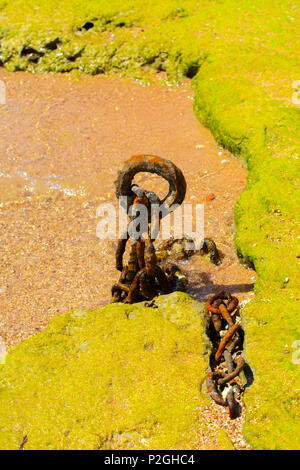 Eine alte rostige Kette ist an der Küste vor dem Hintergrund einer goldgelben Sand geworfen. Stockfoto