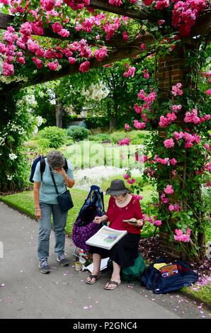 Dame in Hut sitzen Malerei unter rose Pergola an der Royal Botanic Gardens, Kew, Richmond, London, UK. Stockfoto