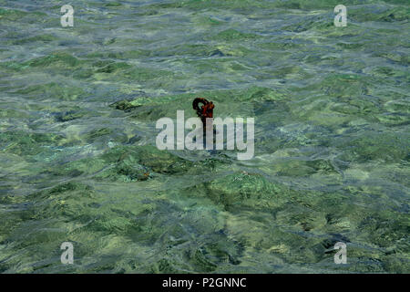 Der alte rostige Kette ist an der Küste im klaren Wasser vor dem Hintergrund der gelben Sand geworfen. Stockfoto