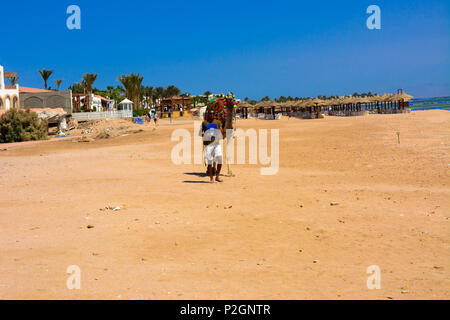 Sharm-el-Sheikh, Ägypten - März 14., 2018. Bedouin Kamel mit einem Fahrer in der Erwartung der Touristen an einem Sandstrand in der Nähe des Meeres vor dem Hintergrund Stockfoto