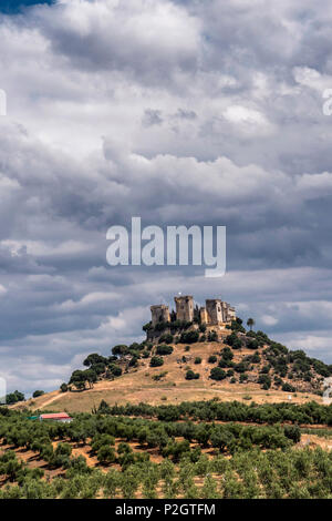 Schloss von Almodovar del Rio, Es ist eine Stärke der muslimischen Ursprungs, es war eine römische Festung und das aktuelle Gebäude hat definitiv Herkunft der Berber, Clo platziert Stockfoto