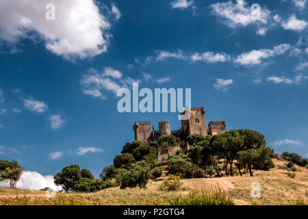 Schloss von Almodovar del Rio, Es ist eine Stärke der muslimischen Ursprungs, es war eine römische Festung und das aktuelle Gebäude hat definitiv Herkunft der Berber, Clo platziert Stockfoto