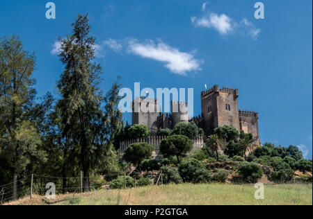 Schloss von Almodovar del Rio, Es ist eine Stärke der muslimischen Ursprungs, es war eine römische Festung und das aktuelle Gebäude hat definitiv Herkunft der Berber, Clo platziert Stockfoto