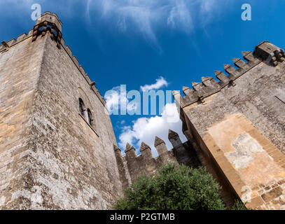 Almodovar del Rio, Cordoba, Spanien - Juni 9, 2018: Schloss von Almodovar del Rio, Es ist eine Stärke der muslimischen Ursprungs, es war eine römische Festung und den aktuellen Stockfoto