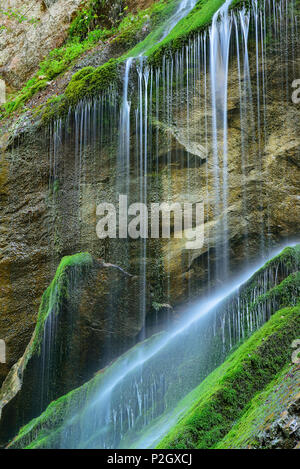 Wasserfall, Wimbachklamm, Nationalpark Berchtesgaden, Berchtesgaden, Berchtesgadener Land, Oberbayern, Bayern, Deutschland Stockfoto