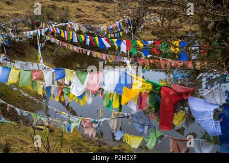 Tibetische Gebetsfahnen oder Lunge ta und neben Teich, die Fahne hängen an hohen Platz für Windströmung wünschen der Menschen rund um Sikkim, Indien Stockfoto