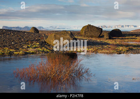 Felsen, Skaftafell, South Island, Insel Stockfoto