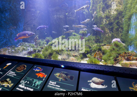 Den Bla Planet, Blau Plante Aquarium, Kopenhagen, Dänemark Stockfoto